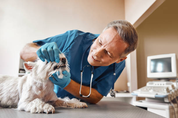 Best After-Hours Dental Care in North Haledon, NJ